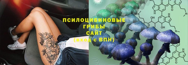 скорость Алексин